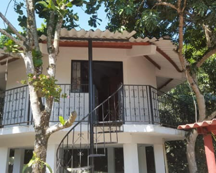 FINCA-TOTUMO-IBAGUÉ