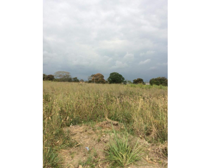 SE VENDE LOTES-LA MIEL-IBAGUÉ