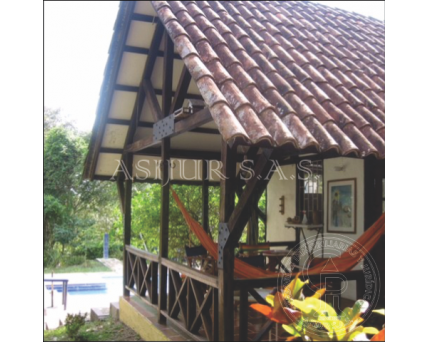 SE VENDE FINCA-CARMEN DE APICALA-TOLIMA
