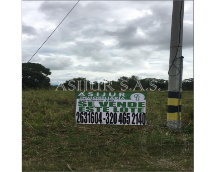 SE VENDEN LOTES SECTOR LA MIEL 