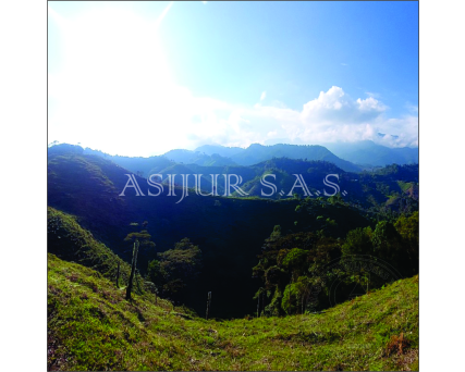 SE VENDE LOTE VEREDA CHINA ALTA - IBAGUÉ